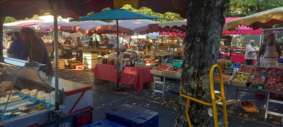 The market with lots of small stalls, it feels local and home made