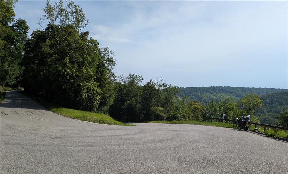 A sharp but wide switchback corner among thick trees