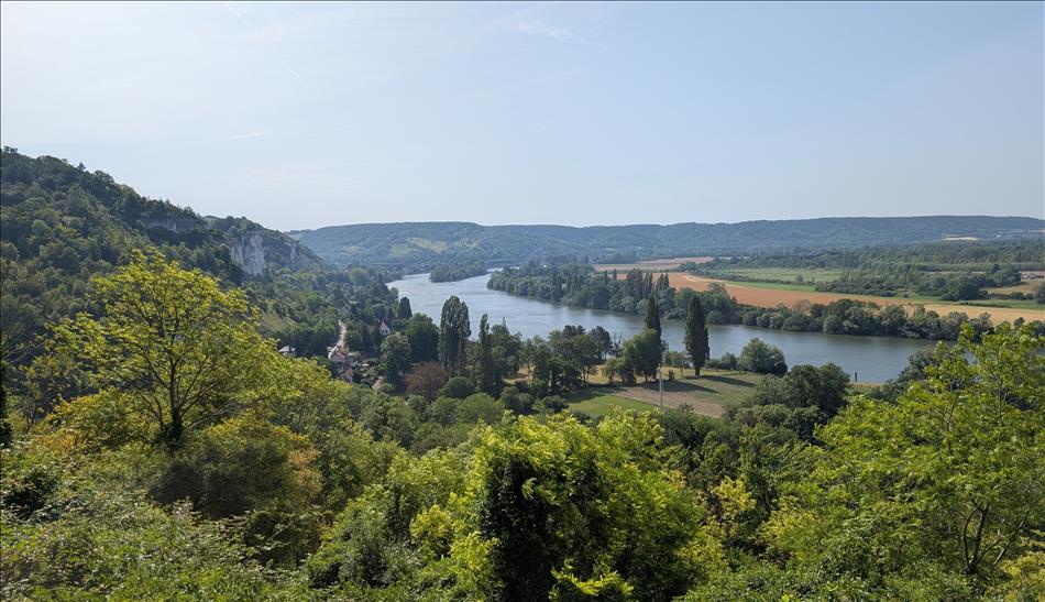 Looking down from a viewpoint there's really dense trees and rocky outcrops and a river down in the valley