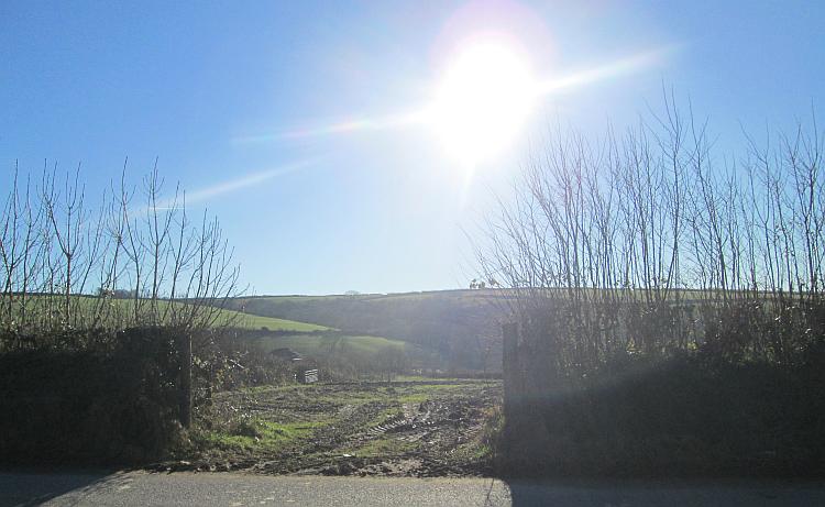 Bright sun shines onto green rolling fields and hedges