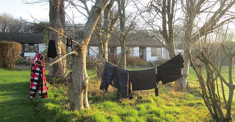 Ren's washing hanging from some bungees between trees while camping