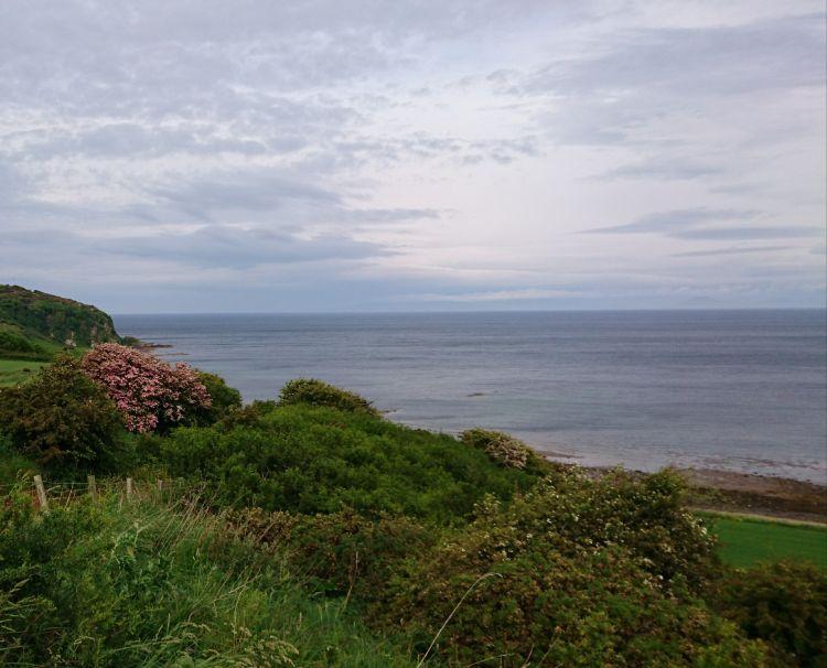 Looking out over a field to the sea off the Ayrshire coast on this dry clear evening
