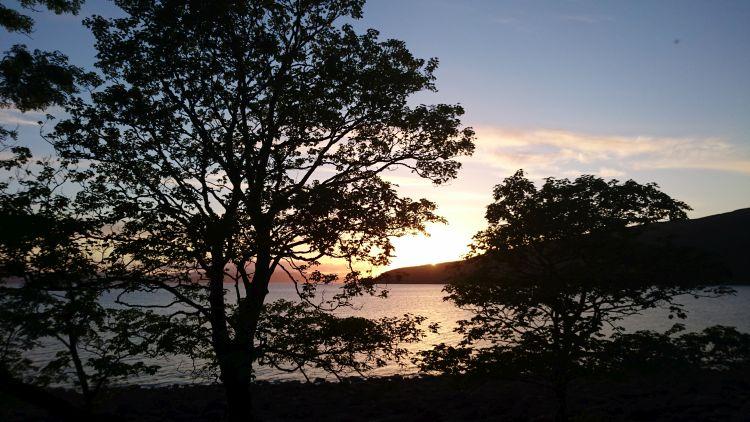 A tree outlined against the setting sun and skies, very artistic