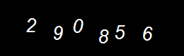 Real Person Number