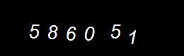 Real Person Number