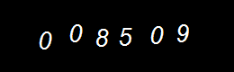Real Person Number