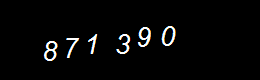 Real Person Number
