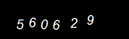 Real Person Number